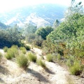 Looking back down another steep part of the trail.