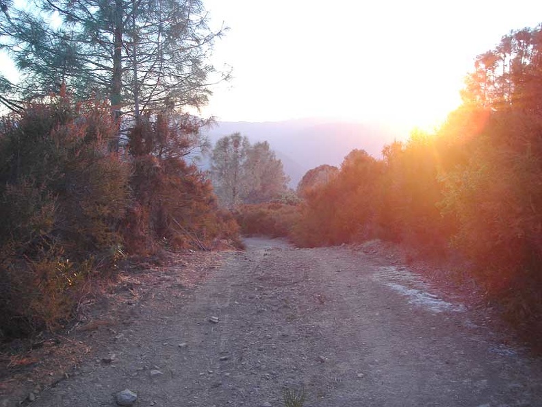 Sunset approaching along Willow Ridge Road, getting higher.