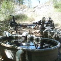 The tub at Bear Spring is full of nice cool water.