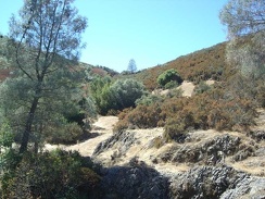 I go for a walk up one of the rocky hills by Bear Spring.