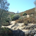 I go for a walk up one of the rocky hills by Bear Spring.