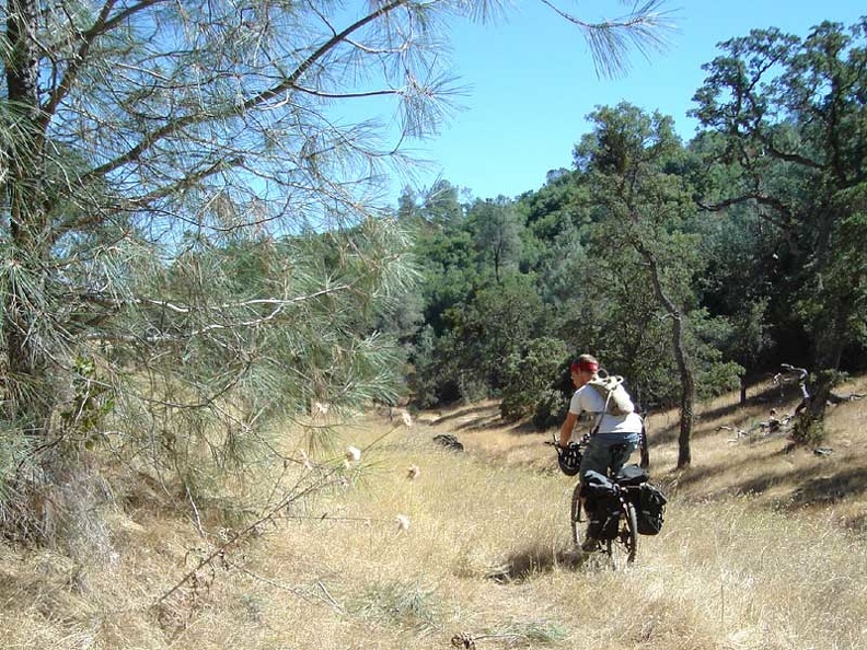 02762-riding-bear-spring-road-800px.jpg