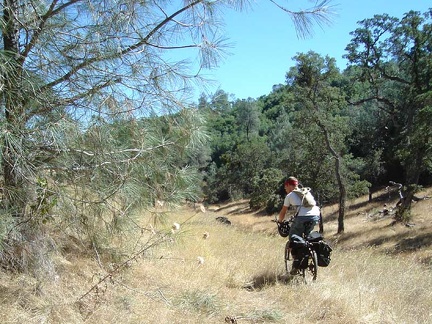 Riding along Bear Spring Road back toward Mississippi Lake.