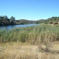 View north up Mississippi Lake from the dam at the lake's south end.