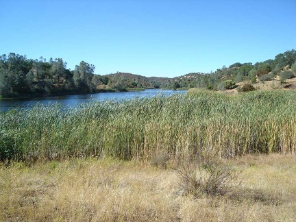 View north up Mississippi Lake from the dam at the lake's south end.