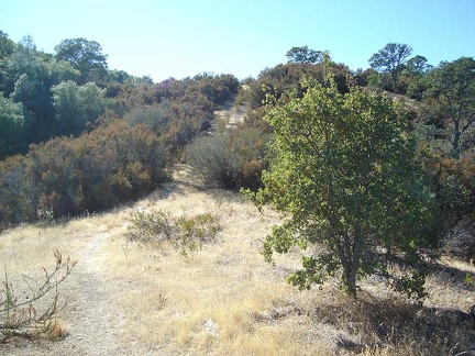 I walk down the Hartman Trail a few hundred feet and look back up toward County Line Road.