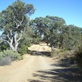 County Line Road is picturesque as it winds through chaparral and oak woodlands with amazing views off to the east