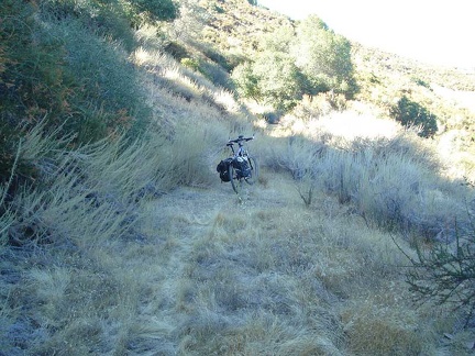 The short (1/3-mile-long) road to Board Spring narrows.