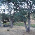 Back at my Mississippi Lake campsite under the ramada and old oak trees for the evening.