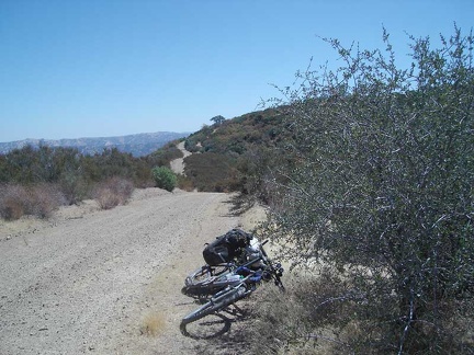 County Line Road rolls up and down along the ridge as it rises to reach the summit of Bear Mountain Road.