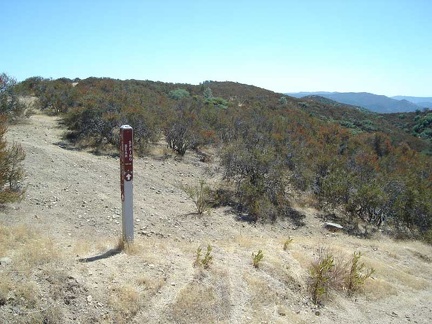 At the junction of the Bear Creek Trail: Bear Mountain Road heads downhill