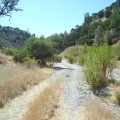 The road crosses Coyote Creek several times; here is another crossing.