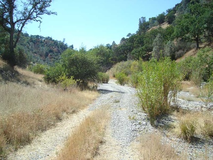 The road crosses Coyote Creek several times; here is another crossing.
