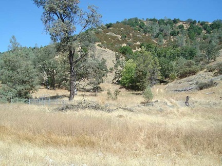 Arnold Horse Camp, my destination for the day, is hidden in the trees at the centre-right, up the road from the dry Coyote Creek