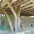 The cabin at Arnold Horse Camp sits in the shelter of a big tin roof