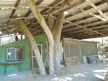 The cabin at Arnold Horse Camp sits in the shelter of a big tin roof