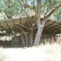 Approaching the cabin at Arnold Horse Camp.