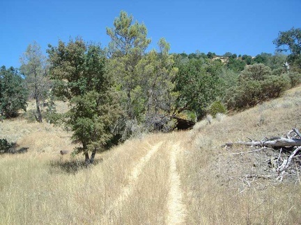 Walking the bike up the short road to Arnold Horse Camp.