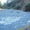 The dry creek bed of Coyote Creek can be tiring to walk on after a while with all its small rocks