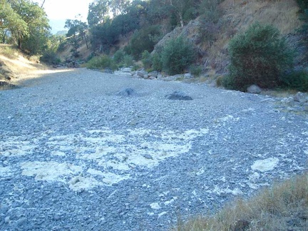 The dry creek bed of Coyote Creek can be tiring to walk on after a while with all its small rocks