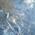 Animal bones along the creekbed.