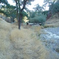 The trail follows the creek, but sometimes rises up the bordering hills a bit.