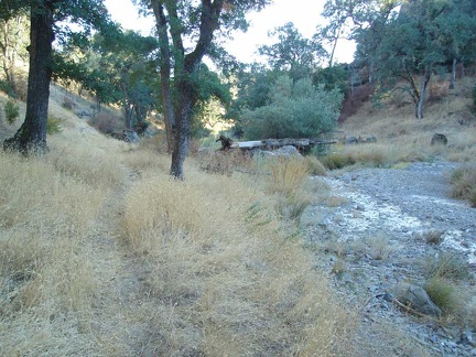 The trail follows the creek, but sometimes rises up the bordering hills a bit.