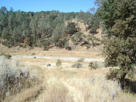 Morning near Arnold Horse camp. Last night at about 23h, I moved the tent and everything.