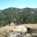 Rising slowly up Blue Ridge Road and looking back down toward the Coyote Creek canyon where I started a while ago.