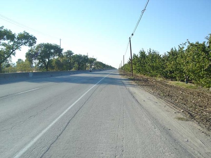 Orchards along Monterey Road near Morgan Hill