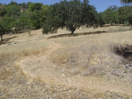 China Hole Trail winds across a meadow on its way up.