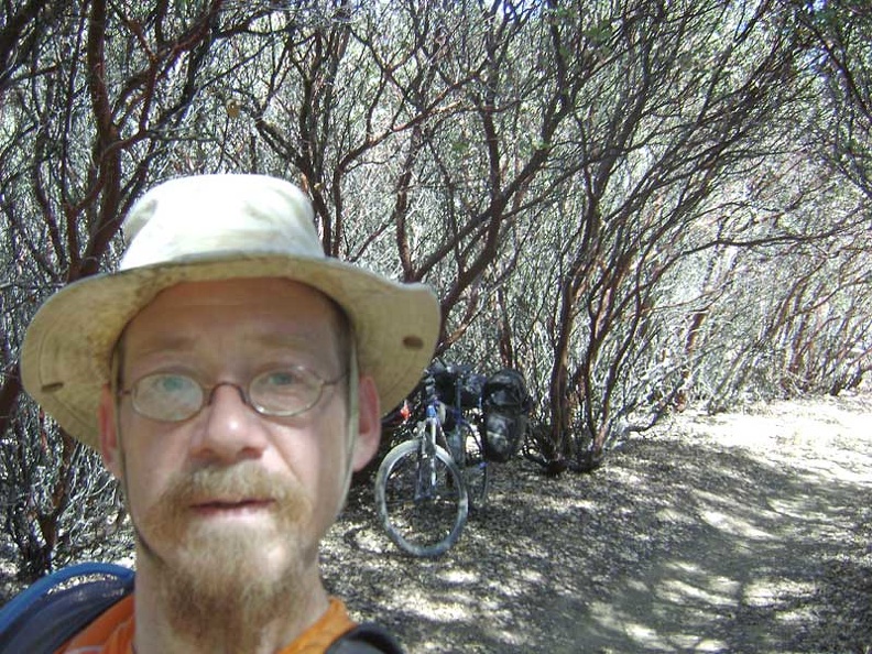 Inside the manzanita tunnel, there's more sunlight than I was expecting.