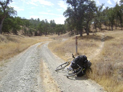 The Orestimba Creek Trail veers off the Orestimba Creek Road to the right. I'll stay on the road.