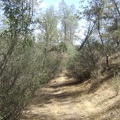 I walk a few hundred feet up the Kingbird Pond Trail.