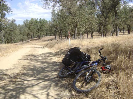 Aha, here's the trail to Kingbird Pond.