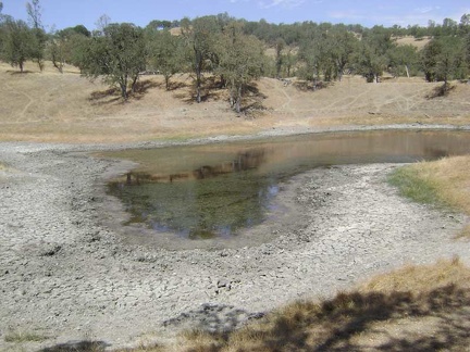 A bit further up Orestimba Creek Road, I notice Will's Pond.