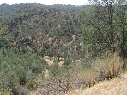 After climbing out of Mississippi Creek canyon to Pacheco Ridge, I look down into the canyon that will be home tonight.