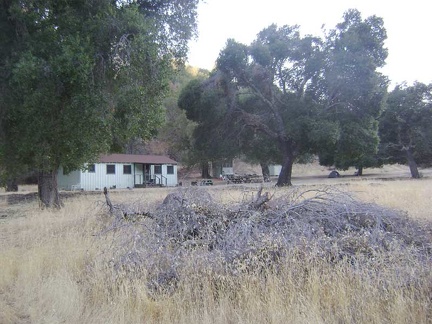 The tent hides under one of the huge oak trees at Pacheco Camp.