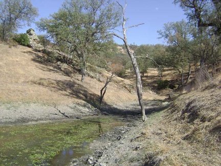 The south tip of Jackrabbit Lake shows that the lake is not at its fullest.