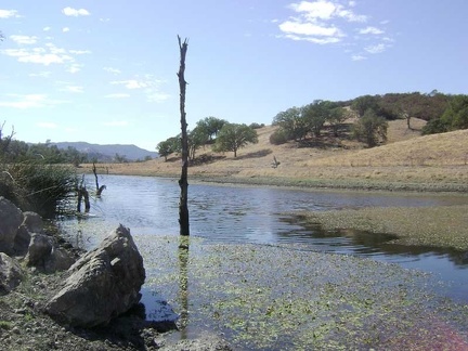 Jackrabbit Lake, looking north.