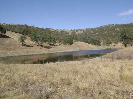 Walking past Jackrabbit Lake, looking southeast, as I begin a short day hike to Paradise Lake and back.