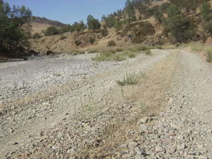 In the hot gravel of Orestimba Creek Road again.