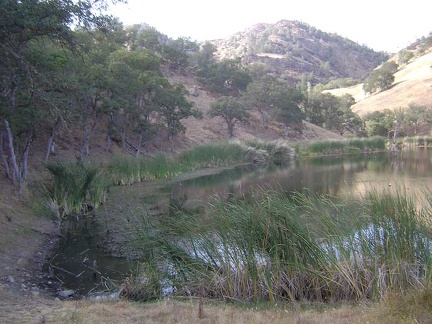 Paradise Lake is small compared to Jackrabbit Lake.