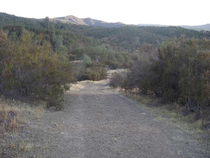  Chamise chapparal on one of the knolls that lower Long Ridge Road bounces over.