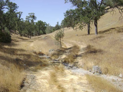 A dry creek crossing on Bear Spring Road.