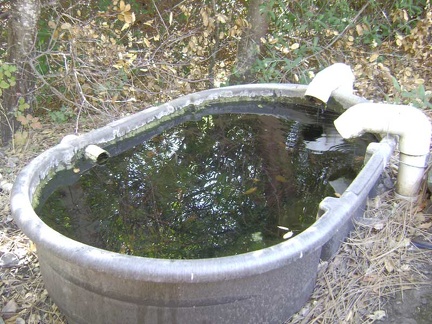 Close-up of Bear Spring.