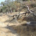 Old concrete cistern along Bear Spring Road.