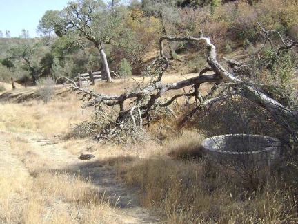 Old concrete cistern along Bear Spring Road.