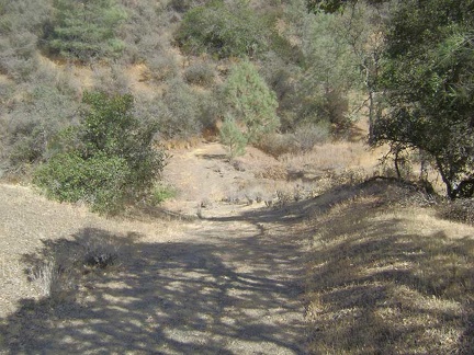 Bear Spring Road drops back down to the level of the dry creek after a short rise.