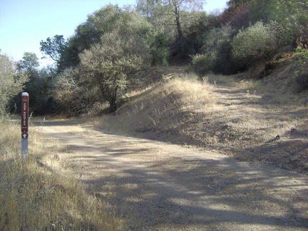 Back near my campsite, Bear Mountain Peak Trail veers upward from Willow Ridge Road